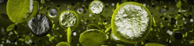Many green erythrocytes High resolution 3D image clipart