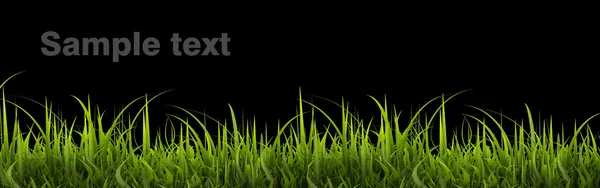 Zelené trávě panorama izolovaných na černém pozadí. vysoké rozlišení. 3D obrázek — Stock fotografie