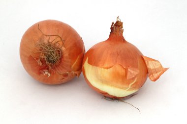 Two organic onions clipart