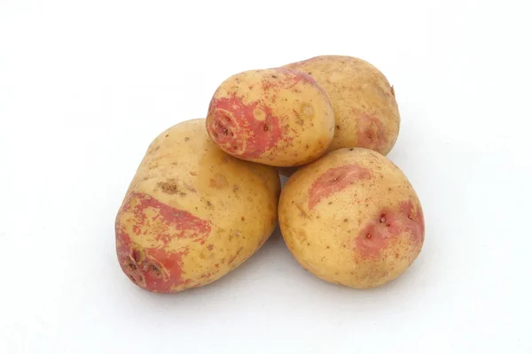 Organik patates. — Stok fotoğraf