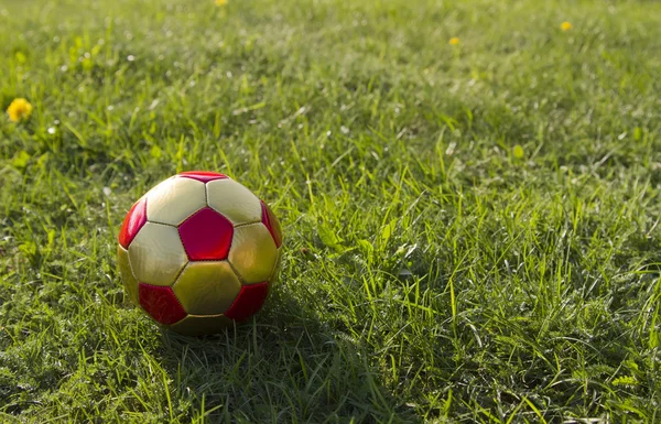 Stock image Ball on grass