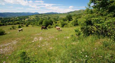 Karadağ hills