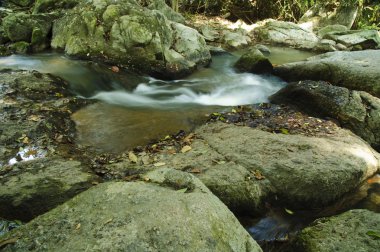 Samui rock Bahçe