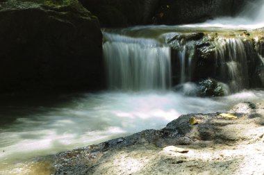 Samui rock Bahçe