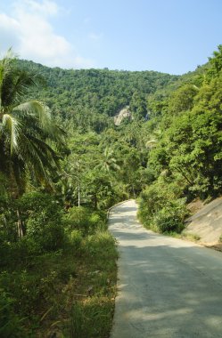 Samui içinde