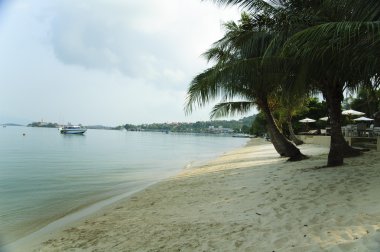 Samui Adası ve çevresinde