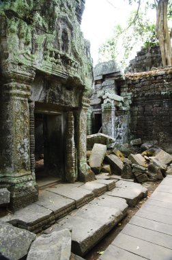 angkor tapınakları