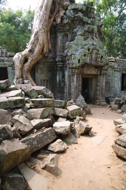 angkor tapınakları