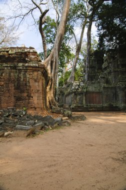 angkor tapınakları