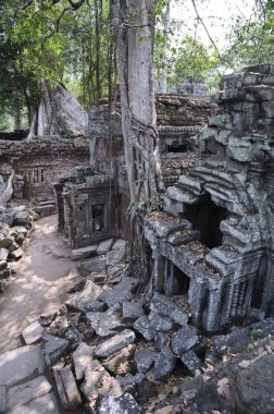 angkor tapınakları