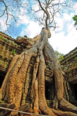 angkor tapınakları