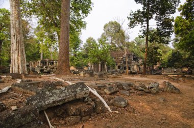 angkor tapınakları