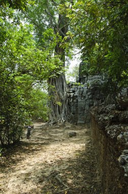 Angkor. Siem Reap.Cambodia