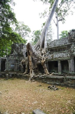 Angkor. Siem Reap.Cambodia