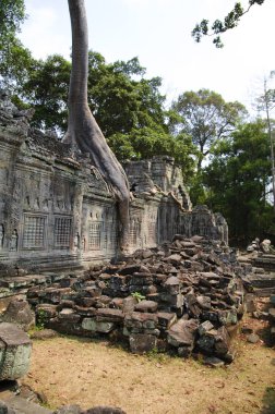 Angkor wat