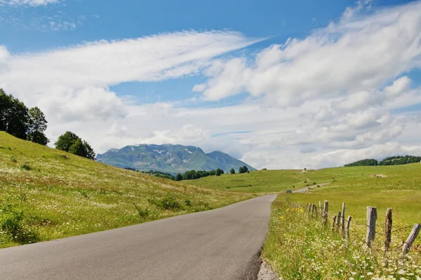 Stock image Montenegro hills