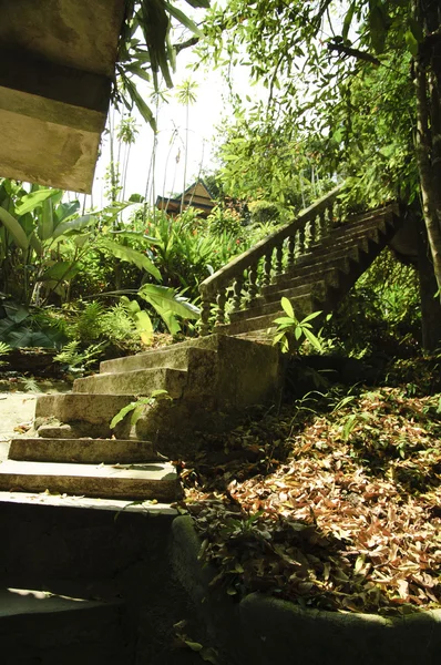 Stock image Samui Rock garden