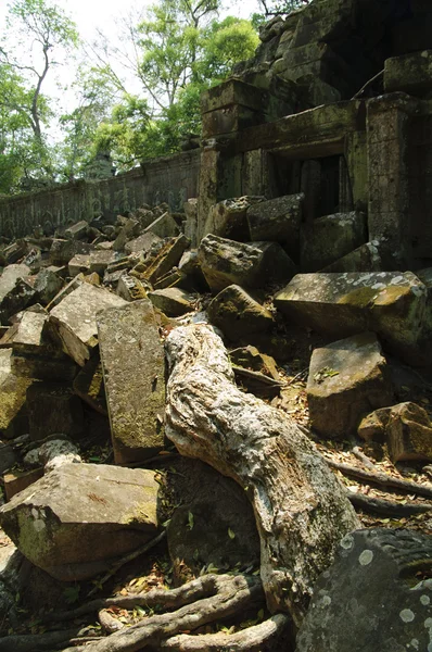 Σε ναούς του angkor — Φωτογραφία Αρχείου