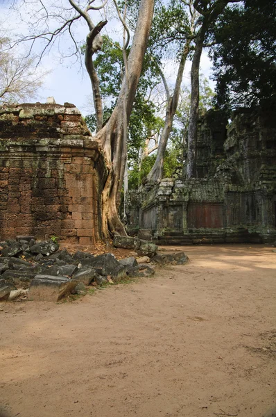 In Tempeln von Angkor — Stockfoto