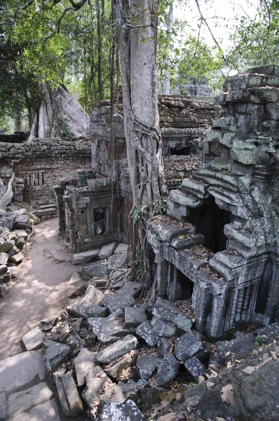 En templos de Angkor — Foto de Stock