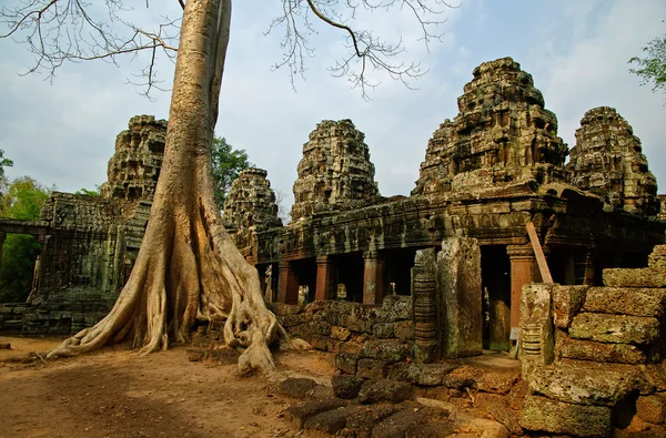 Angkor temples — Stock Photo, Image