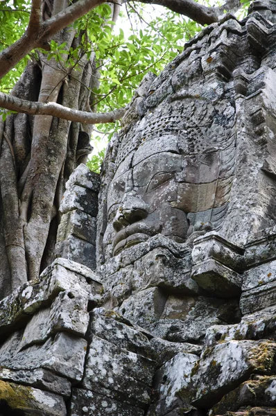 Angkor. Siem Reap.Cambodia