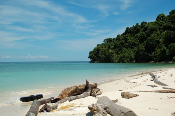 stock image Borneo. Island