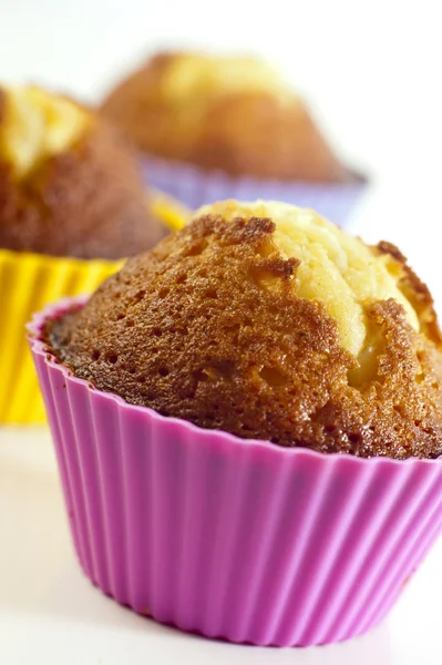 stock image Cupcake / Muffins