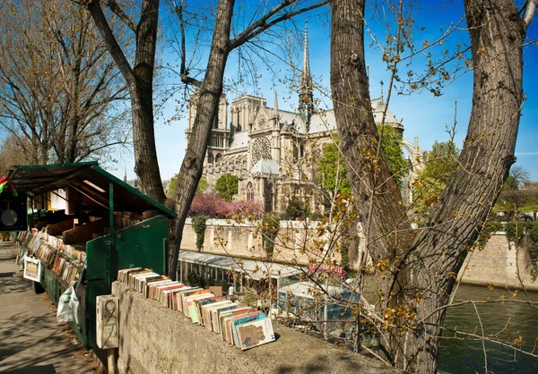 Notre Dame de Paris - França — Fotografia de Stock