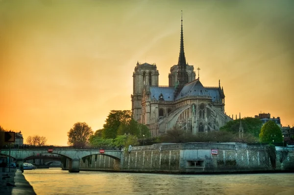 Notre dame de Paris - Francja — Zdjęcie stockowe
