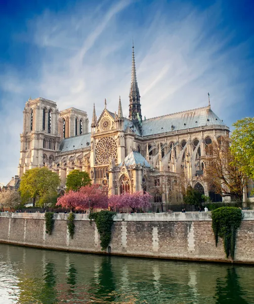 Notre Dame de Paris - França Fotos De Bancos De Imagens