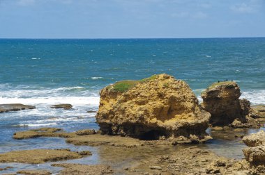 Torquay beach - Avustralya