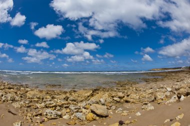 Torquay beach - Avustralya