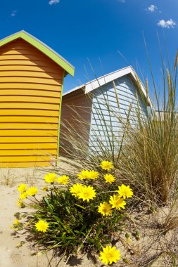 brighton Plajı melbourne, Avustralya yanındaki kutuları banyo