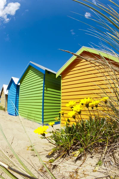 Cajas de baño en la playa de Brighton junto a Melbourne, Australia —  Fotos de Stock