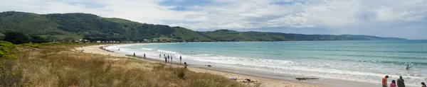 stock image On the Great Ocean Road, Apollo bay, Australia