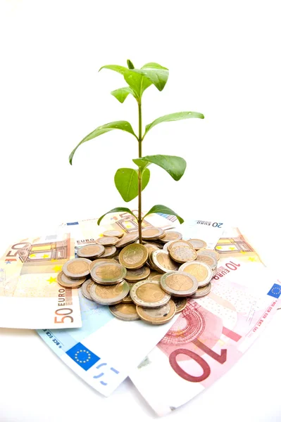 Young plant growing from coins — Stock Photo, Image