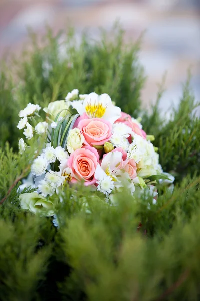 Růžové a bílé svatební kytice v zelené trávě — Stock fotografie