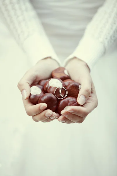 Wedding rings and chestnuts in the hands of the bride — Stock Photo, Image