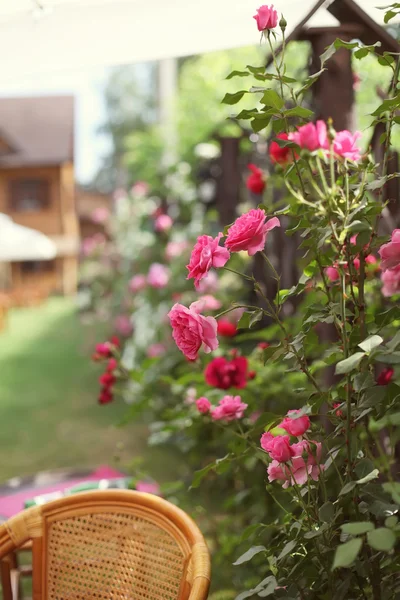 Bukiet ślubny, kwiaty na zewnątrz uroczystości — Zdjęcie stockowe