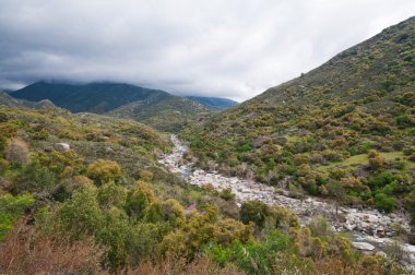 Sekoya Ulusal Parkı