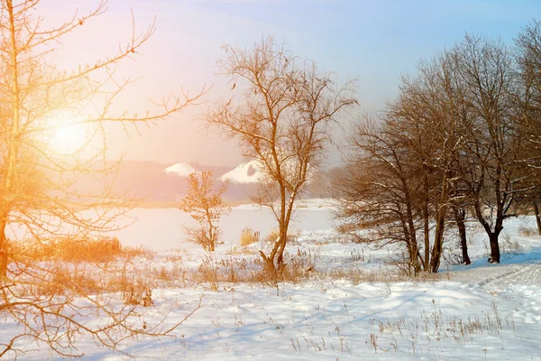 stock image Winter landscape