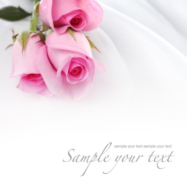 Pink roses on a white silk clipart