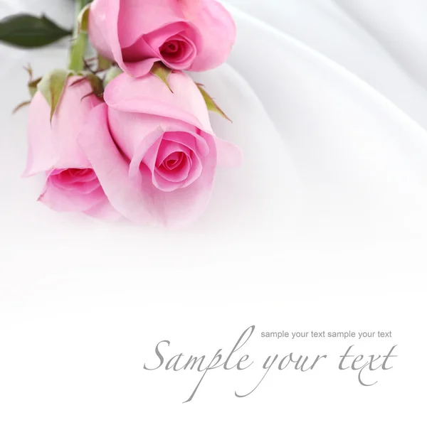 Ροζ τριαντάφυλλα σε ένα λευκό μετάξι — Φωτογραφία Αρχείου