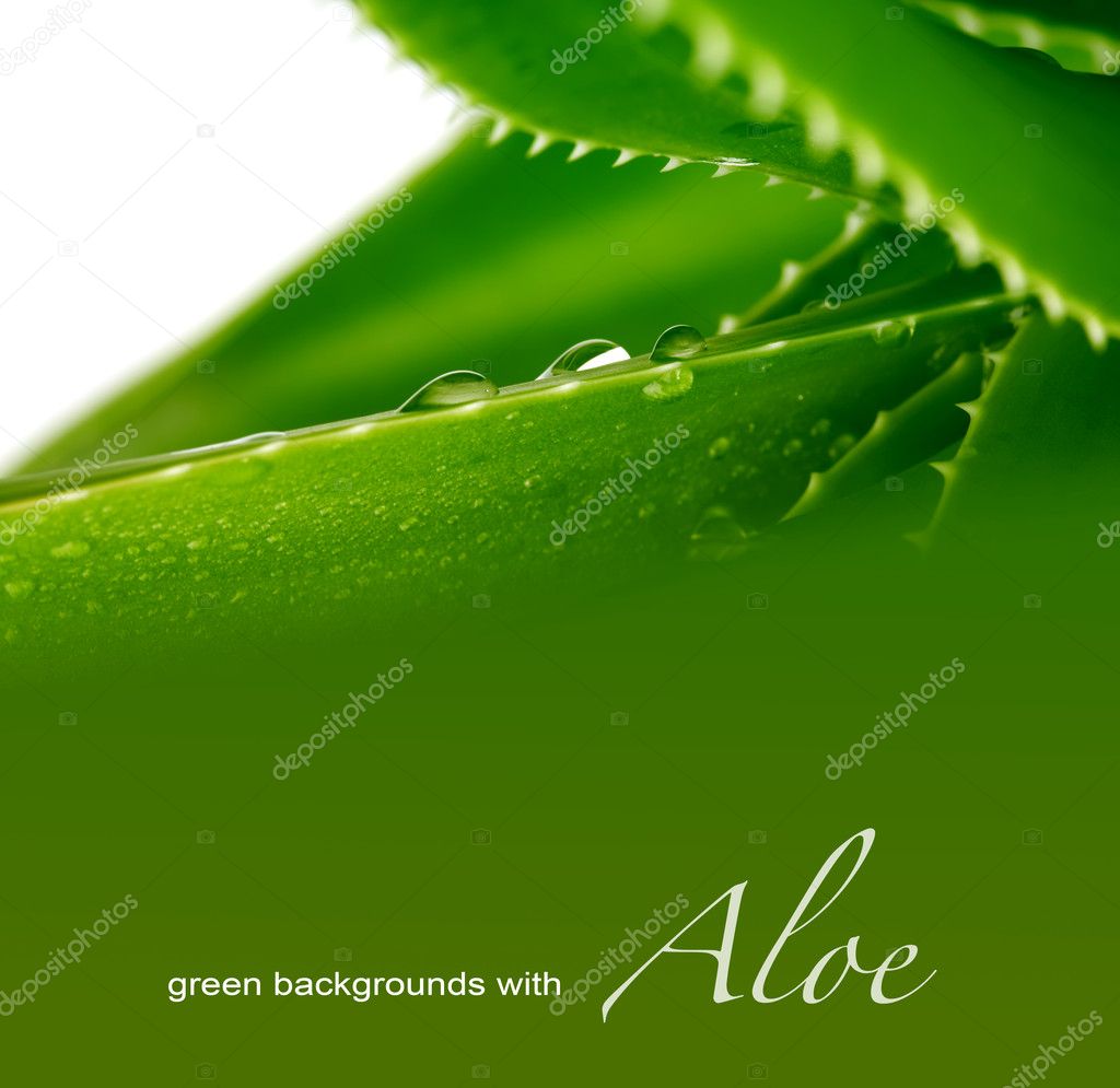 Background with aloe