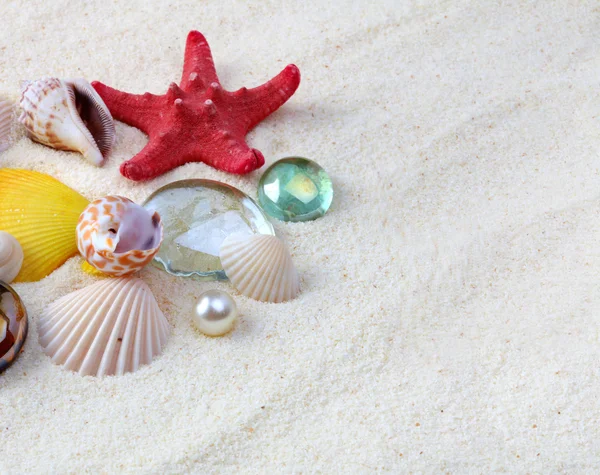 Conchas de mar sobre arena — Foto de Stock
