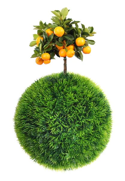 Grass sphere and tree — Stock Photo, Image