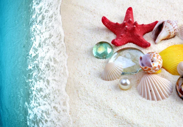 Sea shells on sand beach — Stock Photo, Image