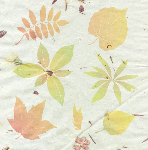 秋の葉と織り目加工の背景 — ストック写真