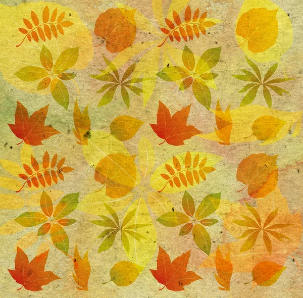 带纹理的背景与秋天叶 — 图库照片